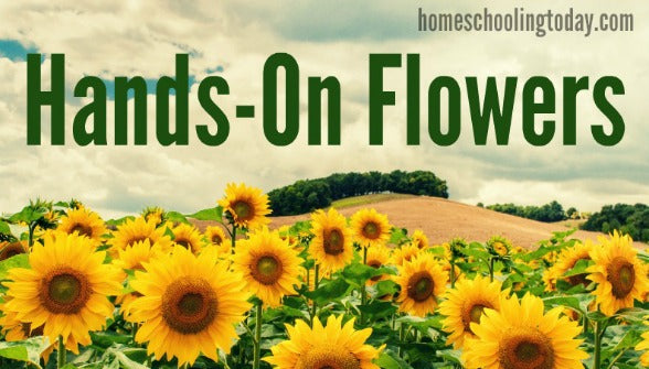 Hands-On Spring Series: Flowers