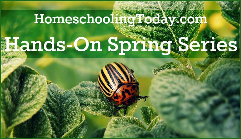 Hands-On Spring Science Ideas