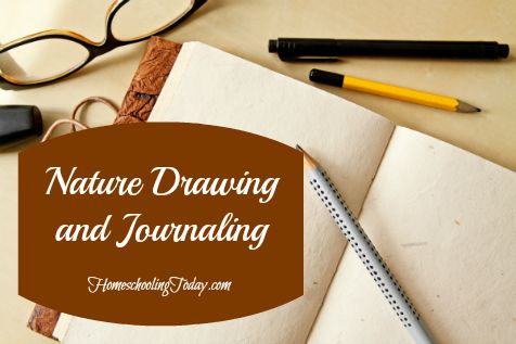 Nature Drawing & Journaling