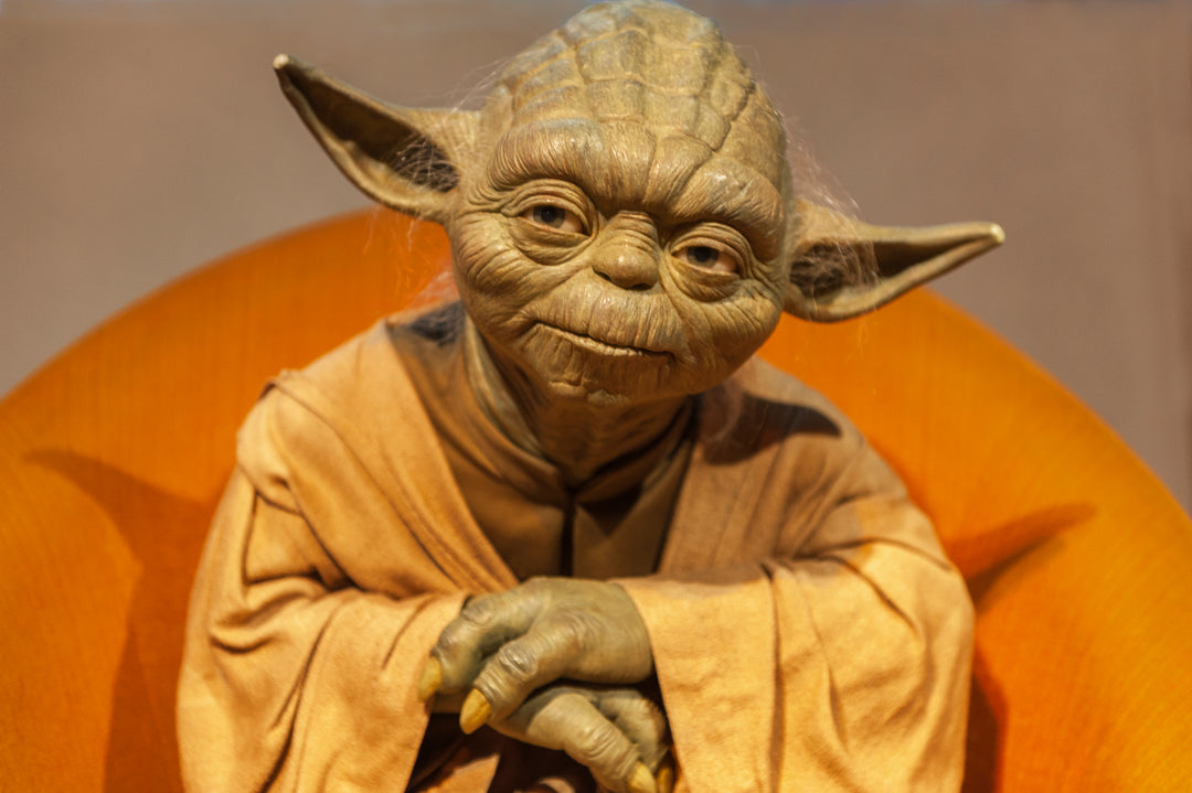 Why Homeschooling Today is Better Than Yoda