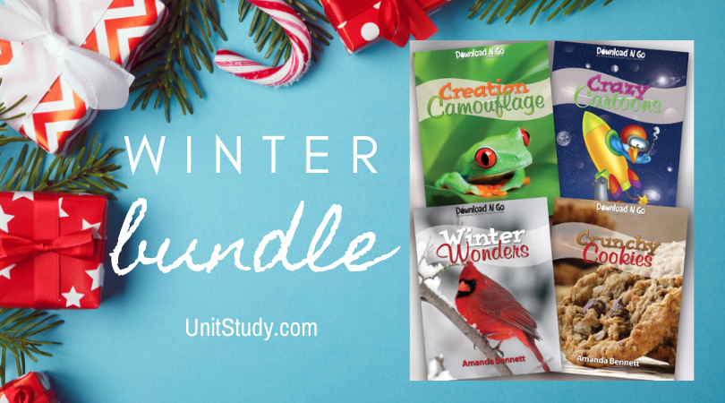 Unit Study Winter Bundle Giveaway