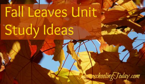 Fall Leaves Unit Study Ideas