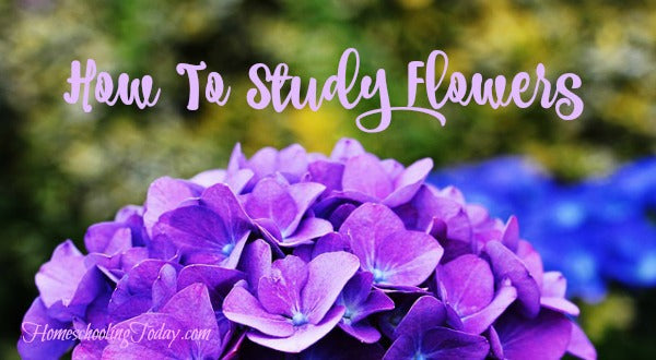 How To Study Flowers
