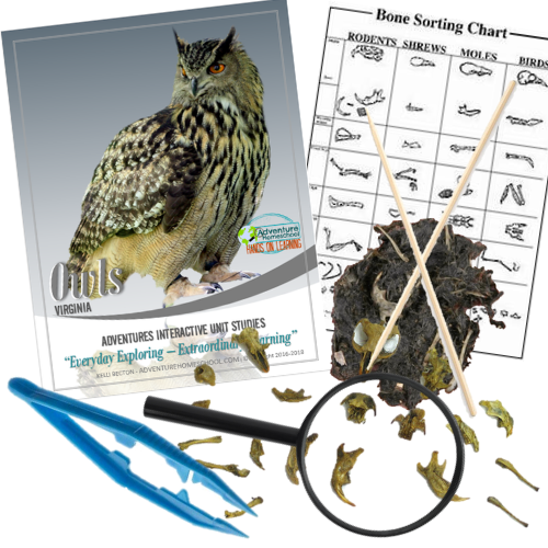 Owl Pellet Kit Giveaway