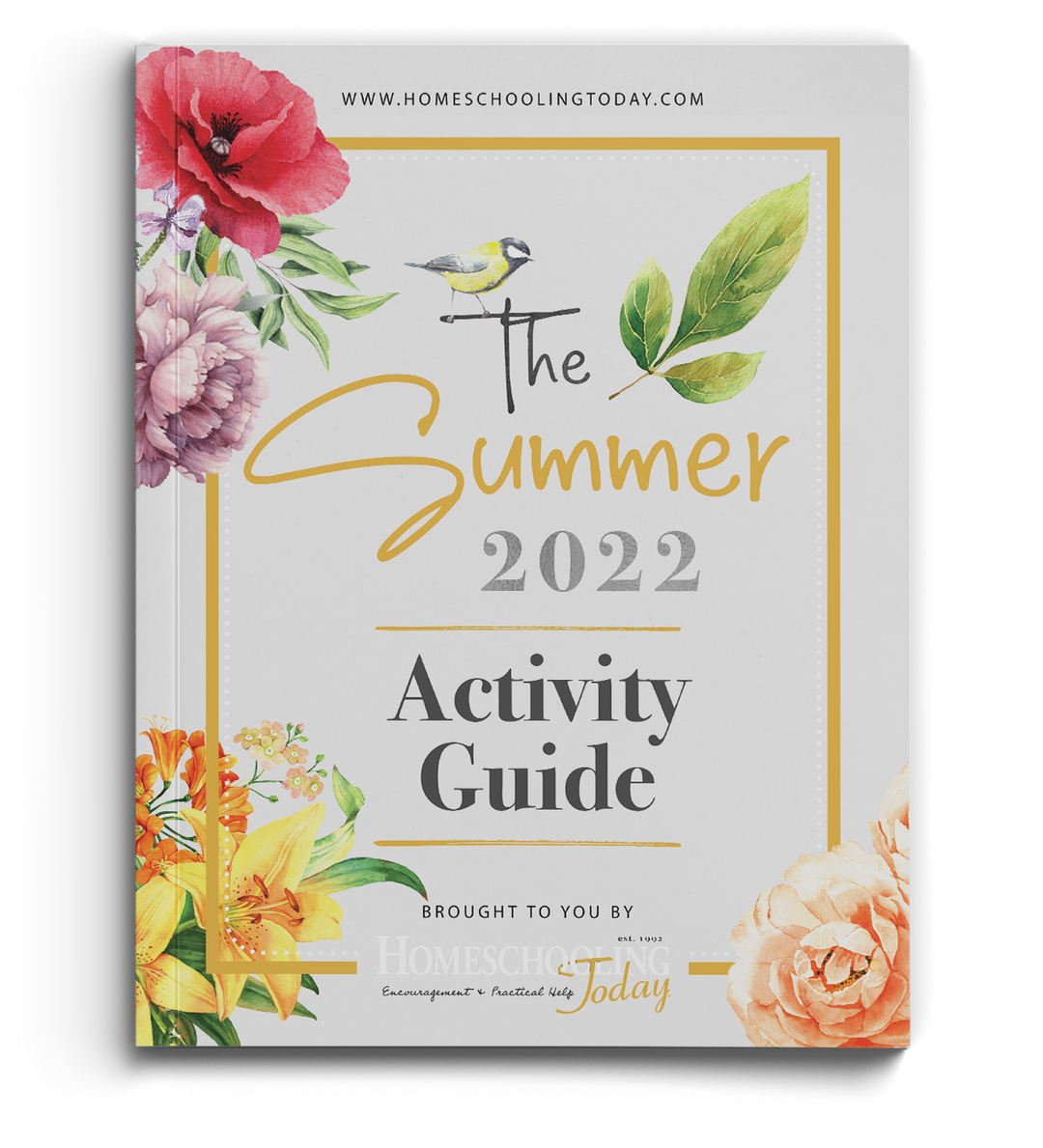 Summer 2022 Activity Guide