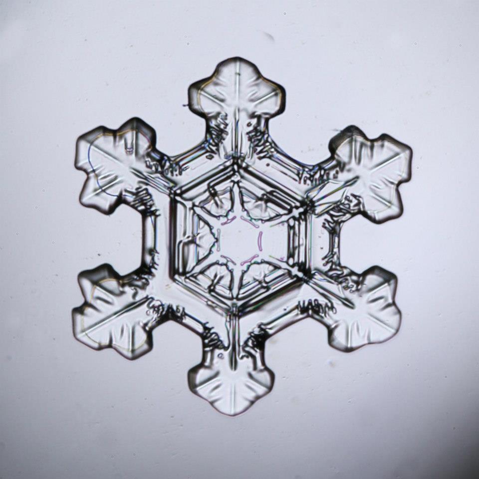 snowflake image 2