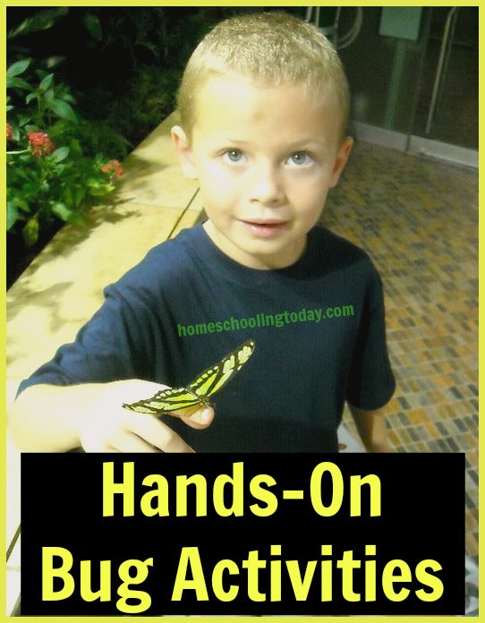 Hands-On Bug Activities | Homeschooling Today Magazine